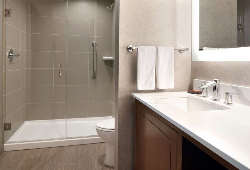 スイート, Embassy Suites By Hilton Chicago Naperville