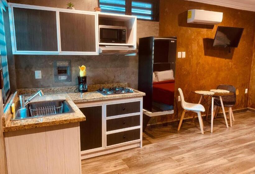 １ベッドルームアパートメント, Ala Residencias