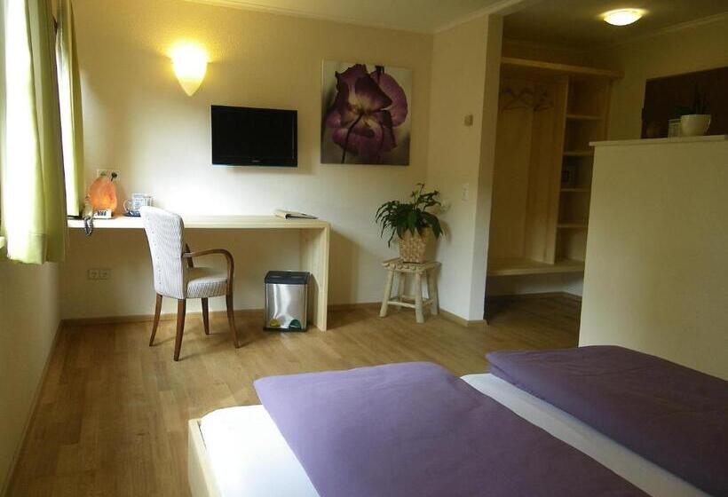 اتاق سوپریور, Bio Hotel Bayerischer Wirt Augsburg