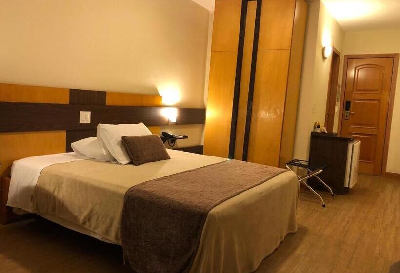 Номер Deluxe Одноместный, Gran Continental Hotel Taubaté