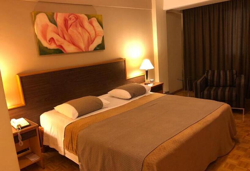 Номер Стандарт Индивидуальный, Gran Continental Hotel Taubaté