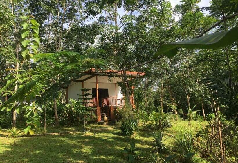 스탠다드 룸, Baansuan Suksangob Farm Stay