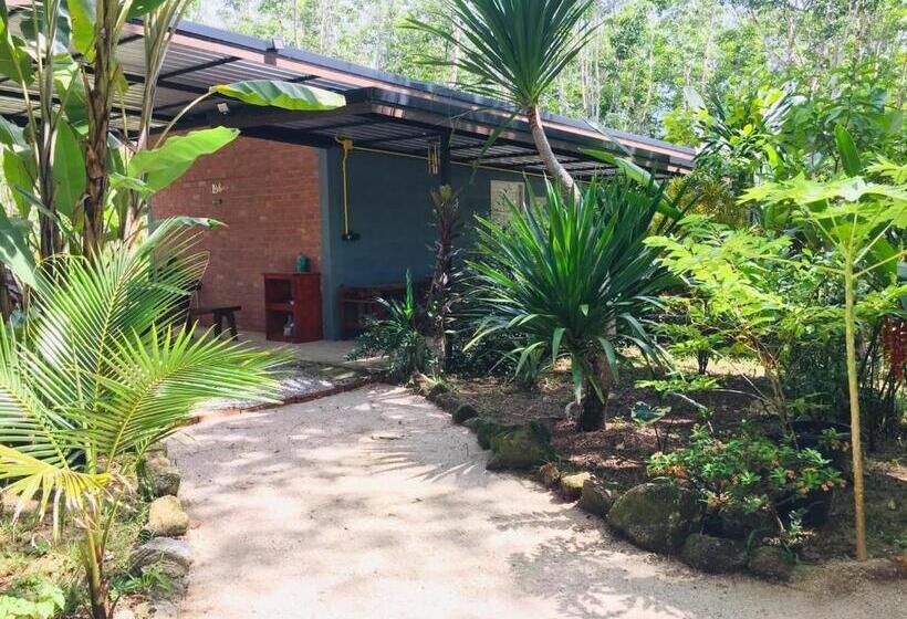 스탠다드 룸 킹사이즈 침대, Baansuan Suksangob Farm Stay