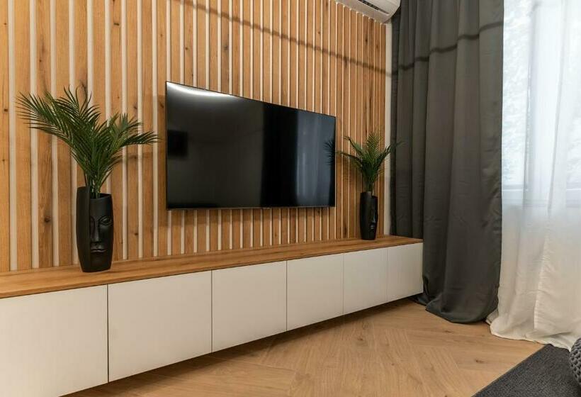 شقة ديلوكس غرفة واحدة, Silver Luxury Suites