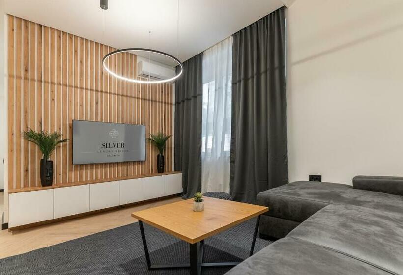 شقة ديلوكس غرفة واحدة, Silver Luxury Suites