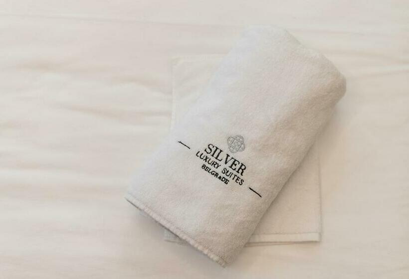 غرفة ديلوكس, Silver Luxury Suites