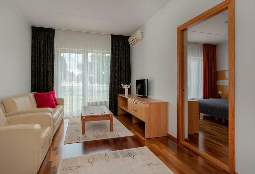 سوئیت با بالکن, Raadimõisa Hotell