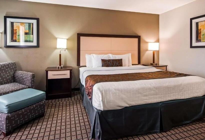 Номер Стандарт Кровать Кинг Адаптированный для Инвалидов, Best Western Plus   Magee Inn & Suites