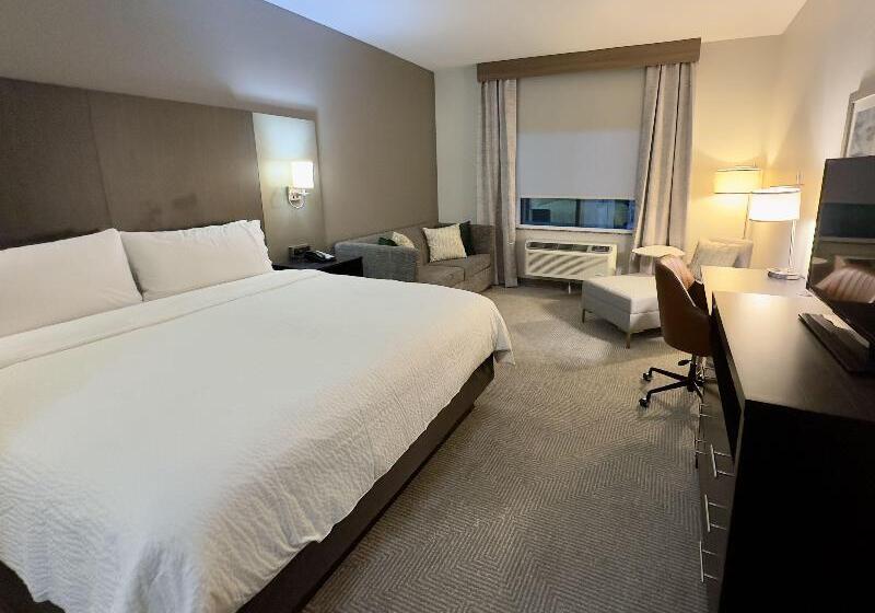 غرفة قياسية لذوى الاحتياجات الخاصة, Holiday Inn Carlsbad/san Diego, An Ihg