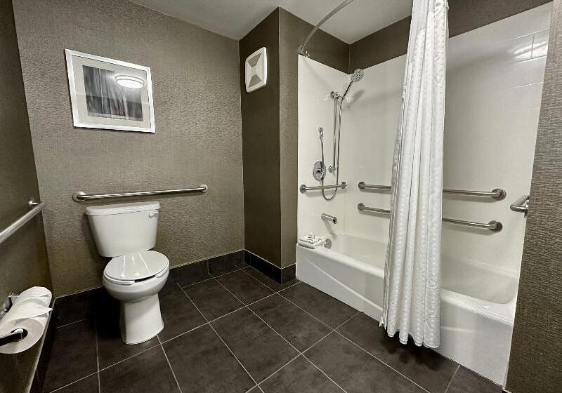 غرفة قياسية لذوى الاحتياجات الخاصة, Holiday Inn Carlsbad/san Diego, An Ihg