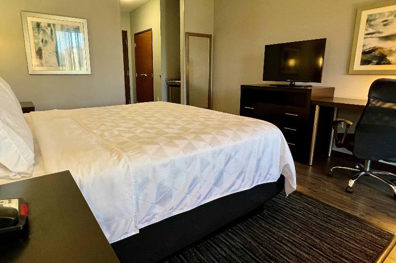 장애인을 위한 킹사이즈 침대 스탠다드 룸, Holiday Inn Carlsbad/san Diego, An Ihg