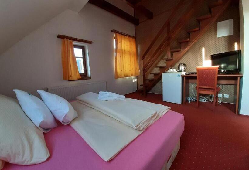 اتاق استاندارد با دسترسی به اسپا, Wellness & Sport Hotel Ttc
