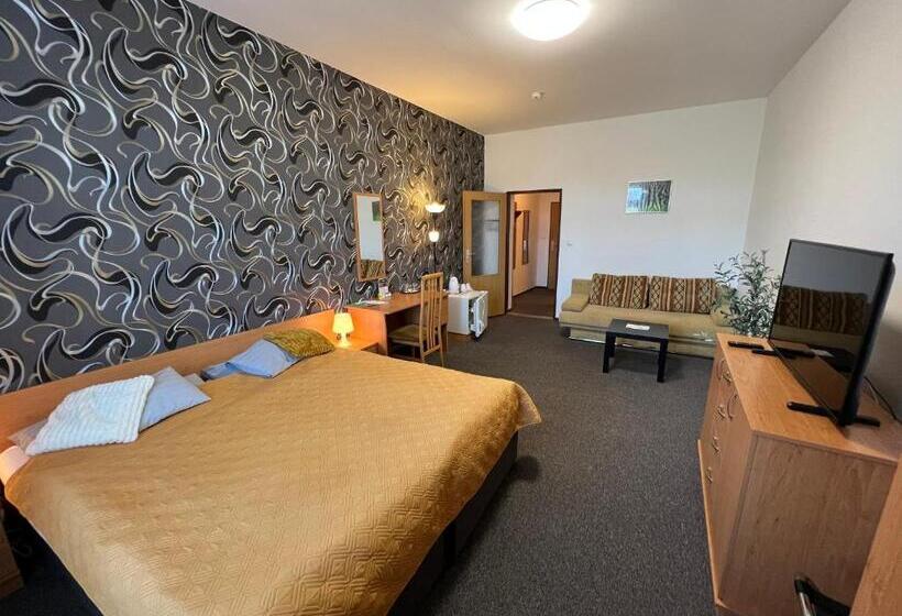 Номер Комфорт, Wellness Penzion U Grygarů