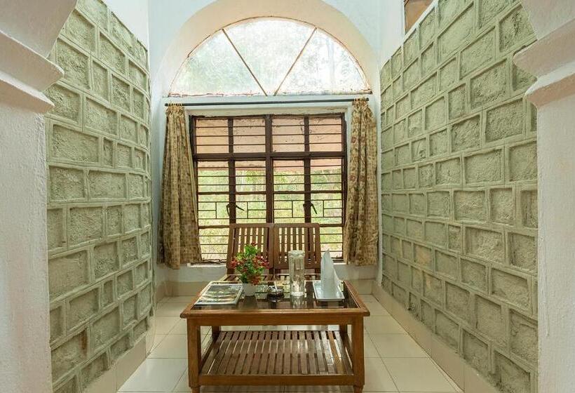 Номер Economy, Jungle King Resort