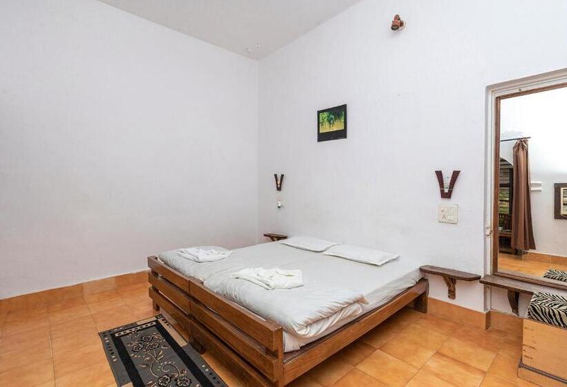 Номер Economy, Jungle King Resort