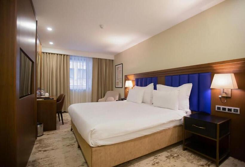 اتاق دلوکس با تخت کینگ و چشم‌انداز شهر, Ramada Plaza Sultanahmet