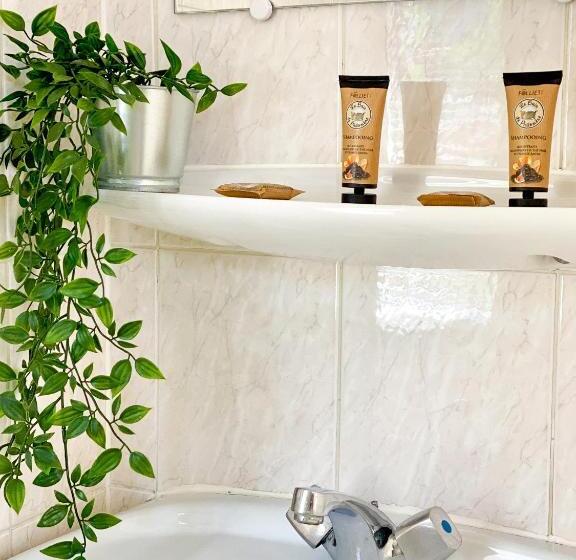 اتاق استاندارد چهار تخته, Doume S Lodge