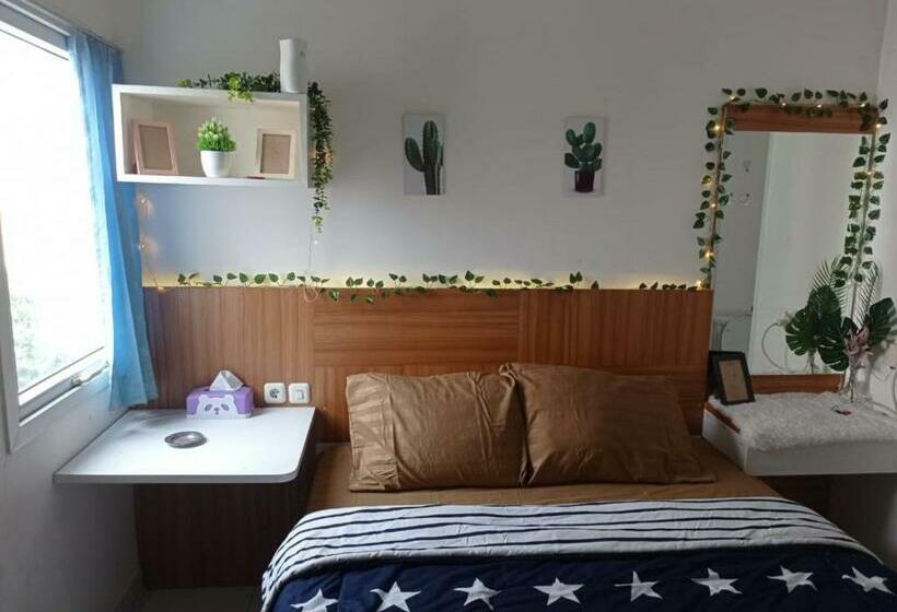 استودیوی استاندارد, Bintang Property Aeropolis