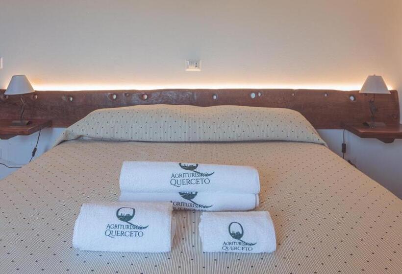 Апартаменты 1 Спальня Нижний Этаж, Agriturismo Querceto