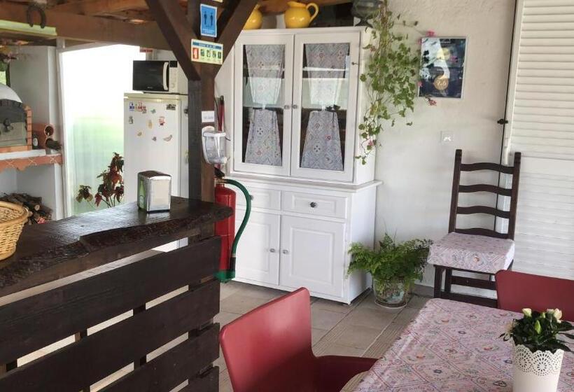 Номер Стандарт Вид на Бассейн, Quinta Camargue