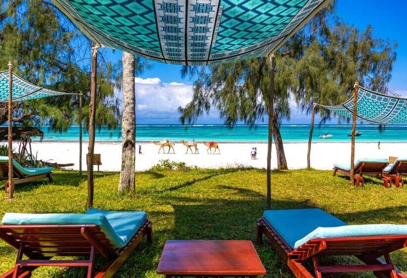 سوئیت جونیور با تراس, Nomad Beach Resort
