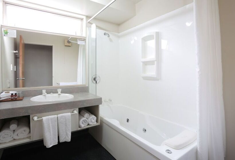 Студия Стандарт, Homestead Villa Motel