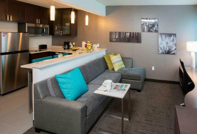 Студио Стандарт Кровать Кинг, Residence Inn By Marriott The Bronx At Metro Center Atrium