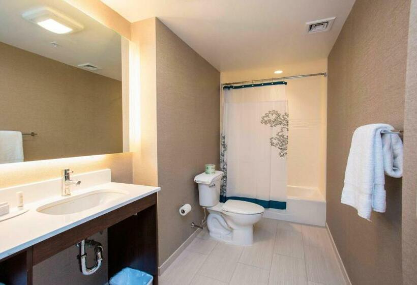 Люкс, Residence Inn By Marriott The Bronx At Metro Center Atrium