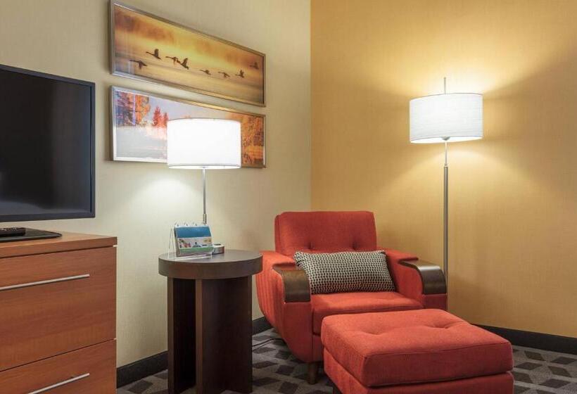 Студия Стандарт, Towneplace Suites By Marriott Belleville