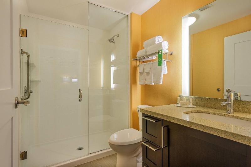 Студио Стандарт Кровать Кинг, Towneplace Suites By Marriott Belleville