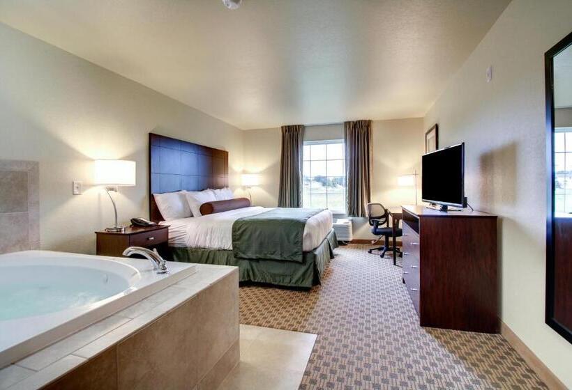 스탠다드 룸 킹사이즈 침대, Cobblestone Inn & Suites   Schuyler