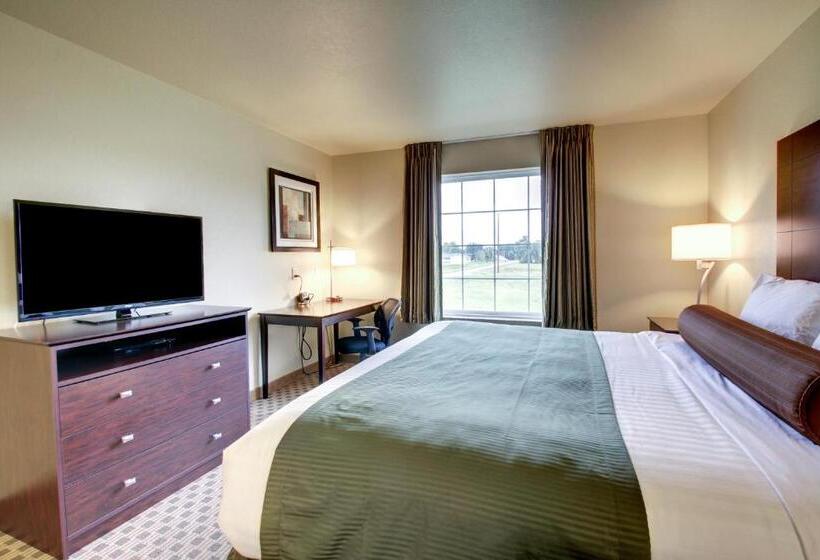 스탠다드 룸 킹사이즈 침대, Cobblestone Inn & Suites   Schuyler
