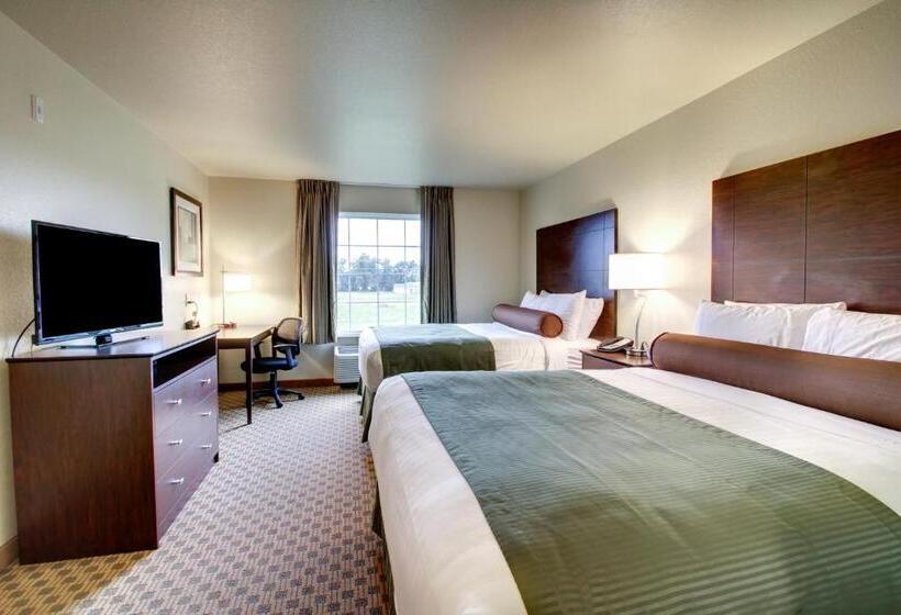 스탠다드 룸, Cobblestone Inn & Suites   Schuyler