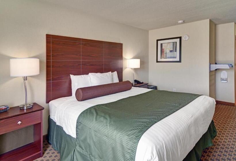 장애인을 위한 킹사이즈 침대 스탠다드 룸, Cobblestone Inn & Suites   Schuyler
