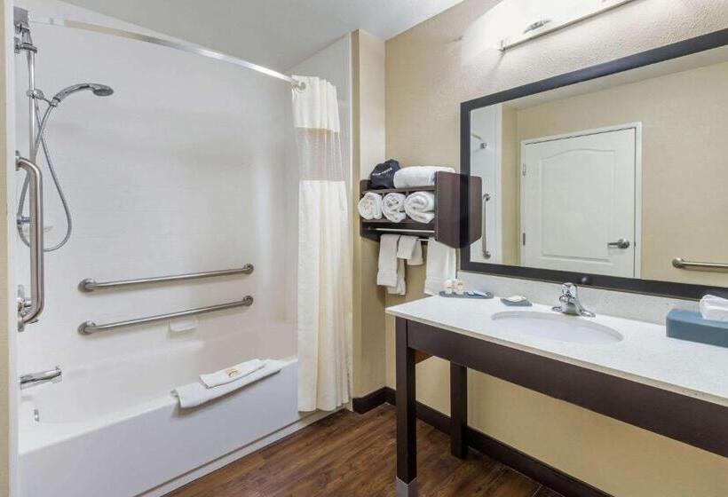 Стандартный Номер Кровать Кинг, La Quinta By Wyndham Artesia
