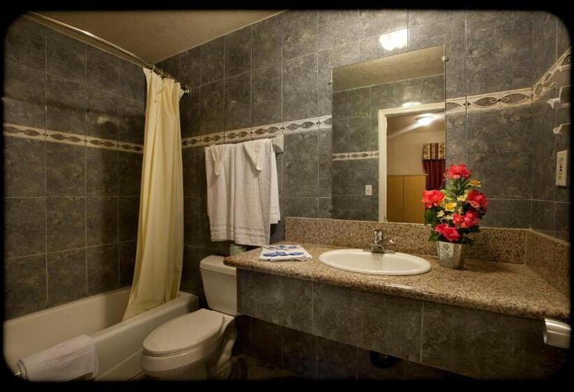 Номер Стандарт 2 Двуспальные Кровати, The Palace Inn