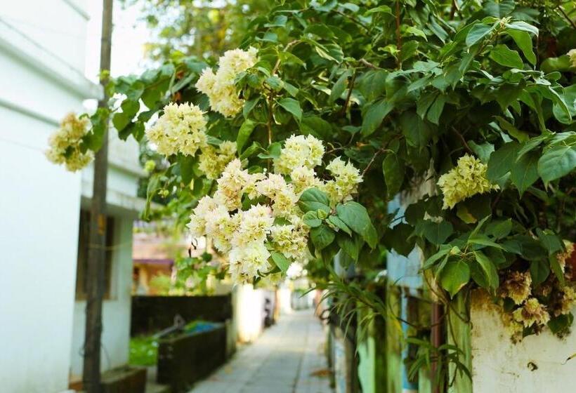 标准间, Honolulu Home