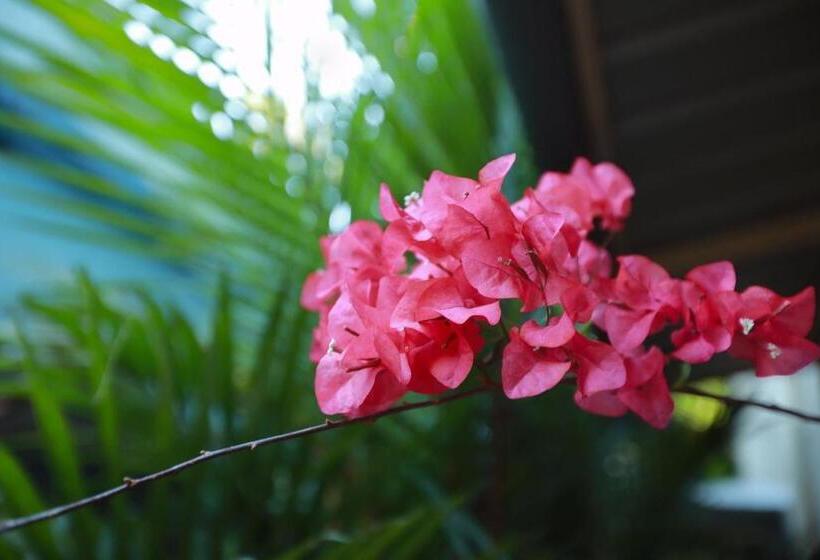 디럭스 스튜디오, Honolulu Home