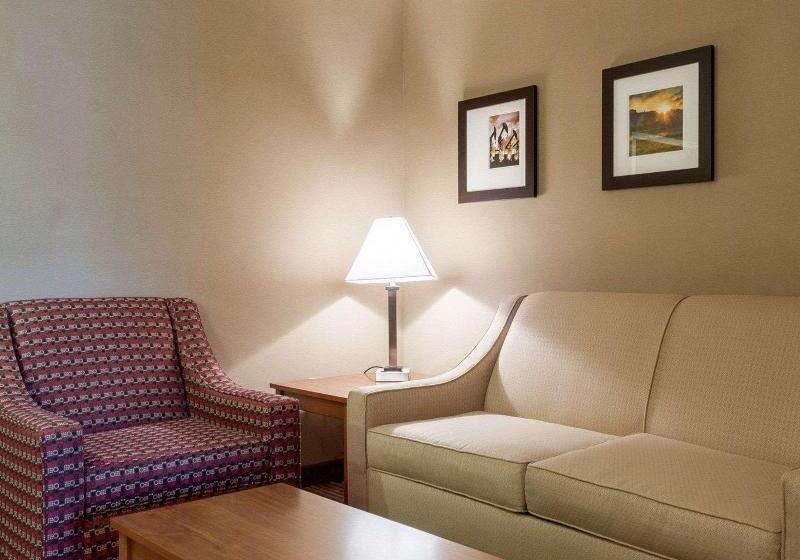 Люкс Адаптированный для Инвалидов, Comfort Inn & Suites