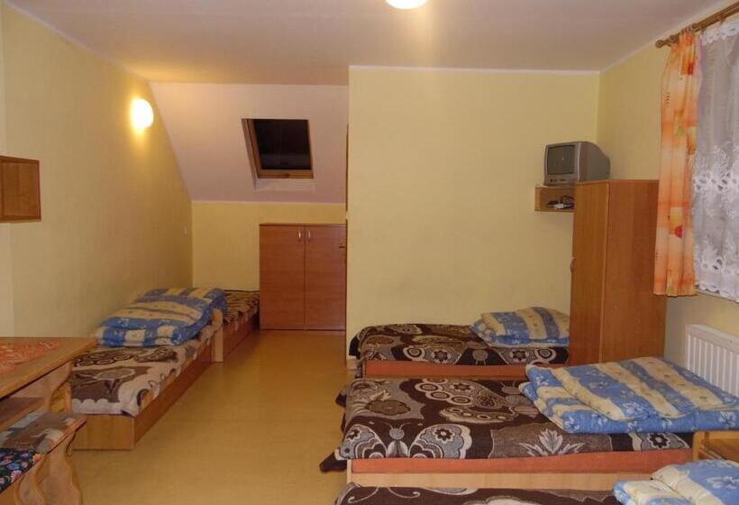اتاق خانوادگی, Nssm Tanie Spanie