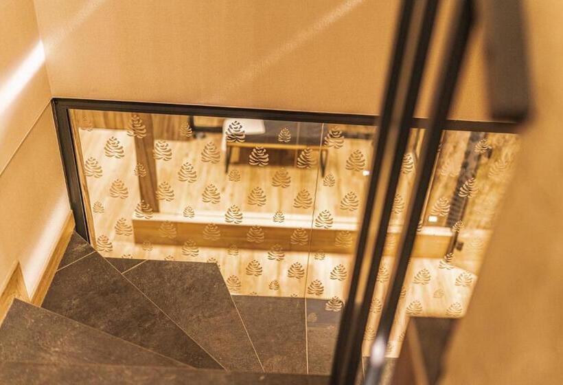 آپارتمان 1 خوابه, Apartamenty Jedlina