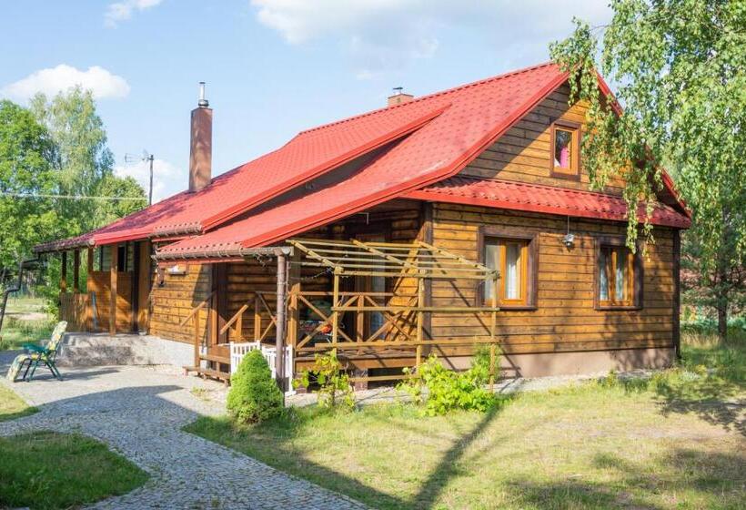Дом 4 Спальни, Agroturystyka żubr