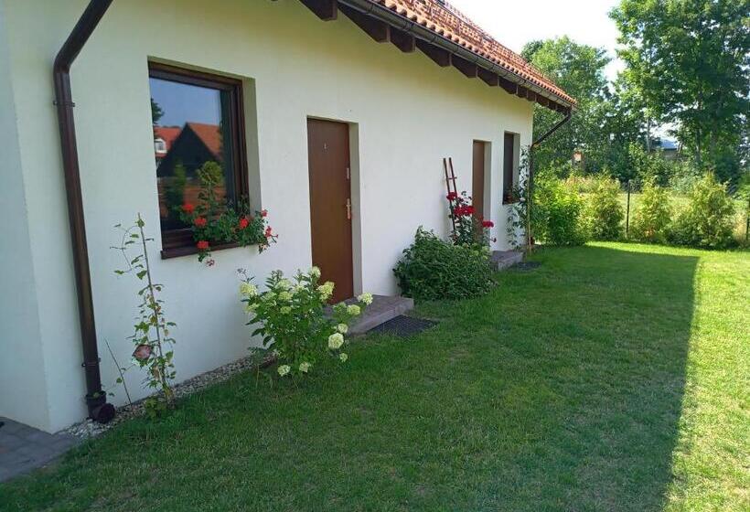 آپارتمان 1 خوابه همکف, Mazurska Apartamenty