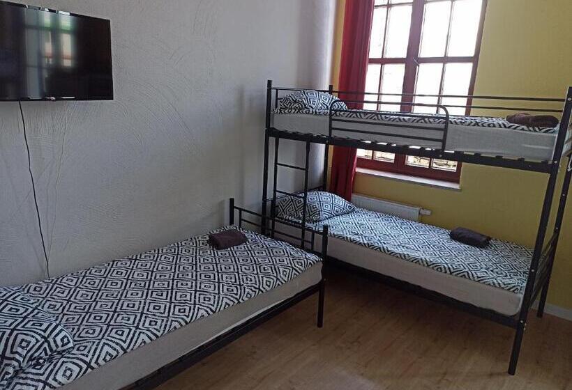 Пятиместный Стандартный Номер, Open Tours