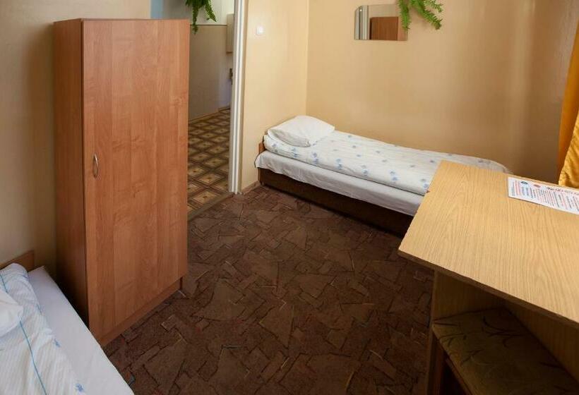 Номер Стандарт, Schronisko Młodzieżowe Ptsm Matecznik