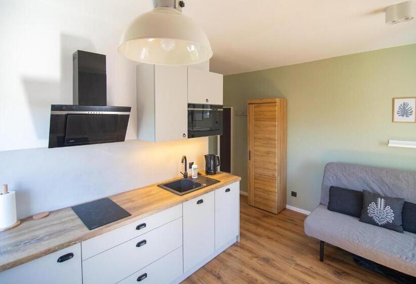 Студия Стандарт, 5 Wierchów Apartamenty