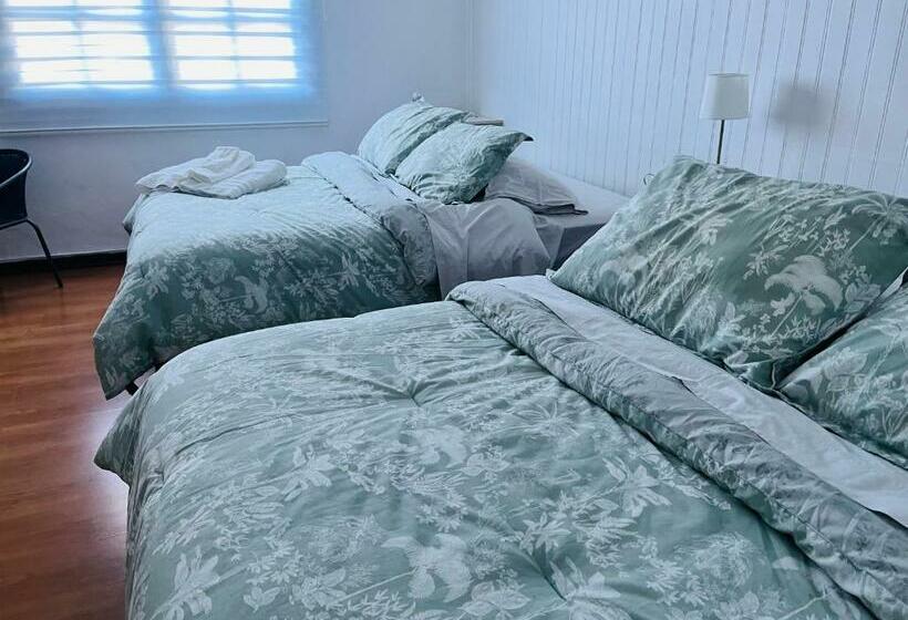 اتاق استاندارد, Nomada 870   Hotel Work