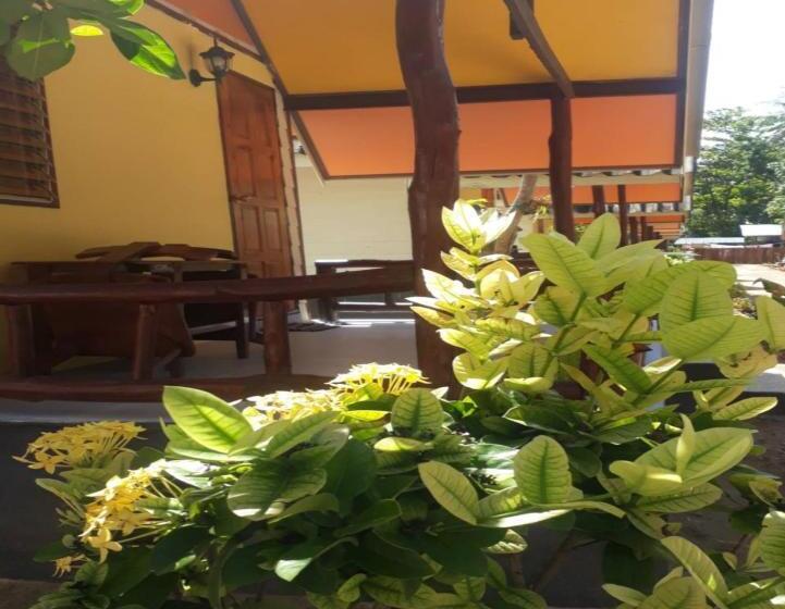 デラックスバンガロー, Long Beach Garden Resort