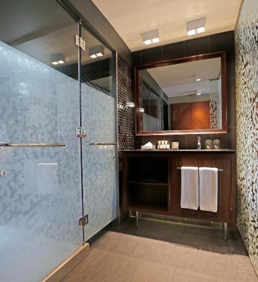 اتاق استاندارد, Cumbres Lastarria