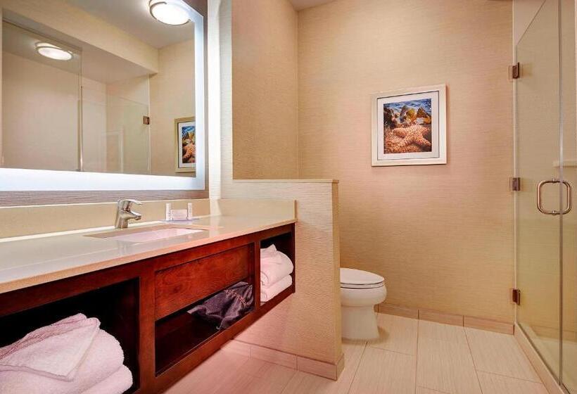 带大床的标准间, Fairfield Inn & Suites By Marriott San Diego Carlsbad